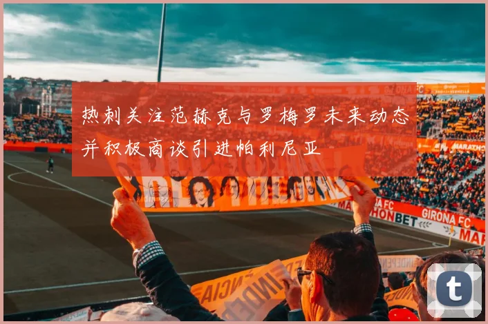 热刺关注范赫克与罗梅罗未来动态并积极商谈引进帕利尼亚