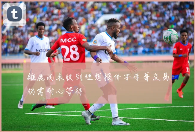 雄鹿尚未收到理想报价字母哥交易仍需耐心等待